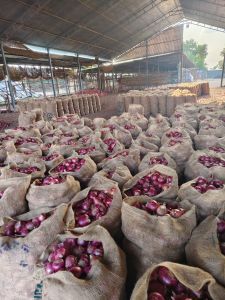 Fresh Red Onion (Pink Onion / Garwa Onion / Summer Onion)