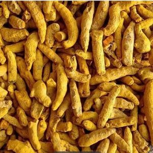 Double Polished Turmeric Finger