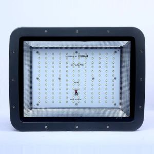 RGB Flood Lights