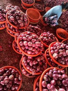 red onion