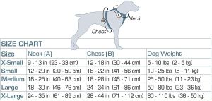 Customized All Sizes Vest Adjustable Dog Harness Belt