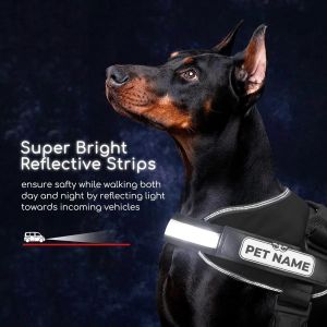 Customized All Sizes Vest Adjustable Dog Harness Belt