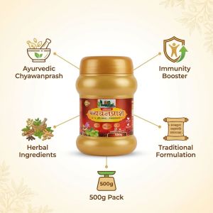 500 Gram Special Chyawanprash