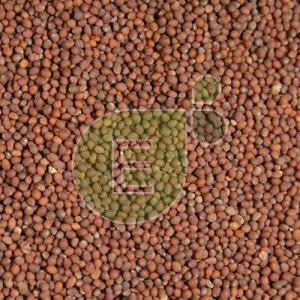 Brown Mustard Seeds