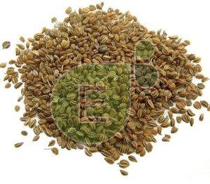 Celery Seeds