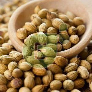 Coriander Seeds