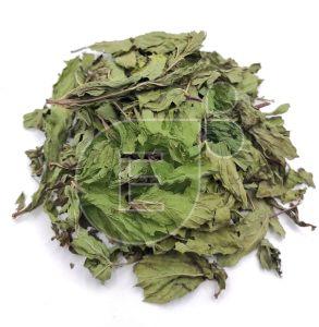 Dehydrated Mint Leaves