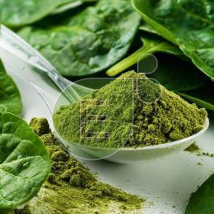 Dehydrated Spinach Powder