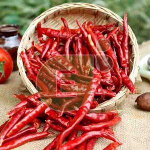Dried Red Chilli