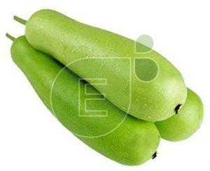 Fresh Bottle Gourd