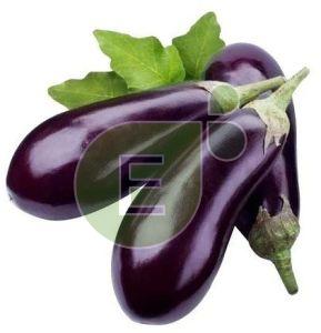 Fresh Brinjal