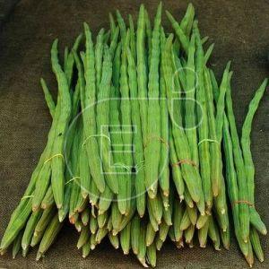 Fresh Drumsticks
