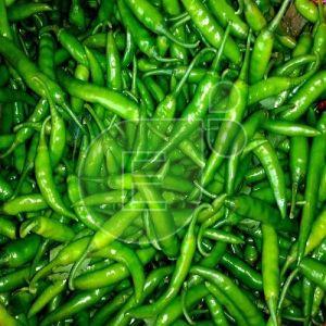 Fresh Green Chilli