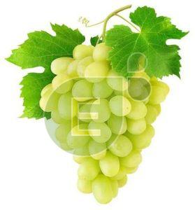 Fresh Green Grapes