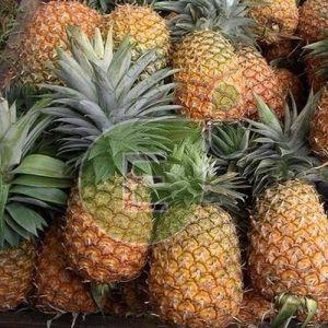 Fresh Pineapple