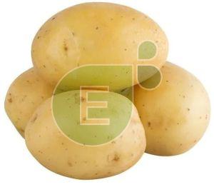 Fresh Potato