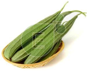 Fresh Ridge Gourd