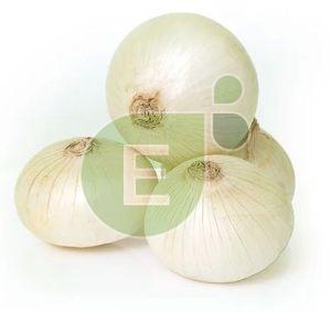 Fresh White Onion
