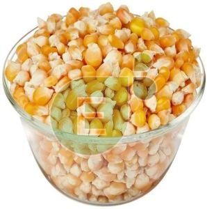 Natural Maize Seeds