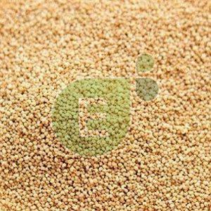 Poppy Seeds