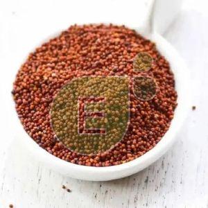 Red Mustard Seeds