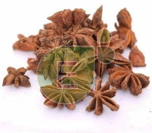 Star Anise Seeds