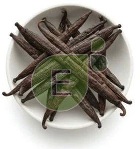 Vanilla Beans