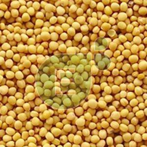 Yellow Mustard Seeds