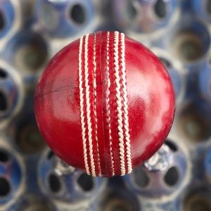 Academy Red Leather Cricket Ball