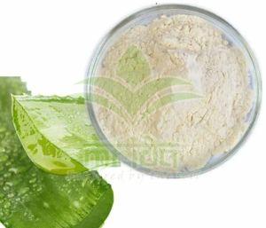 200X Aloe Vera Powder