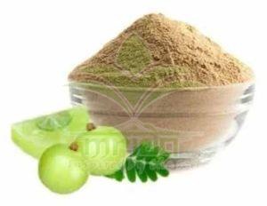Amla Dry Extract Powder