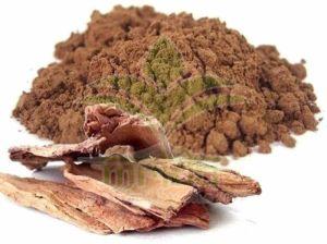 Ashoka Bark Dry Extract Powder