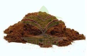 Ashoka Bark Extract Powder