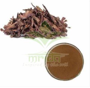 Ashoka Herbal Extract Powder