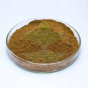 Asphaltum Shilajit Powder