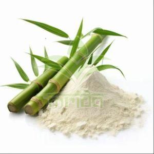 Bamboo Shoot Extract Powder