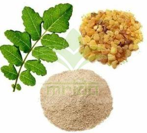 Boswellia Serrata Extract