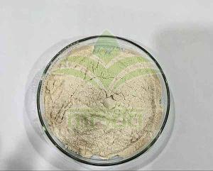 Boswellia Serrata Extract Powder
