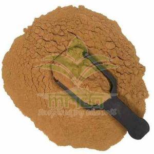 Ganoderma Extract Powder