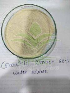 Garcinia Cambogia Extract