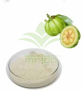 Garcinia Extract Powder