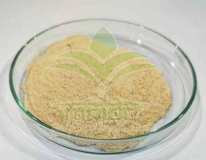 Ginger Extract Powder