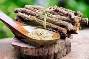 Glycyrrhiza Glabra Extract