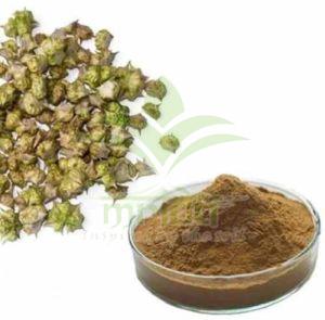 Gokhru Herbal Extracts