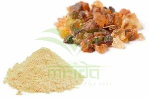 Guggul Commiphora Mukul Extract