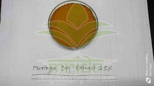 Moringa Extract Powder