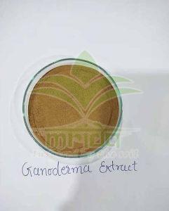 Organic Ganoderma Extract Powder