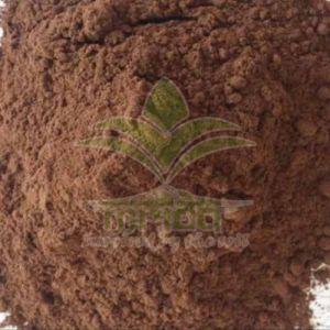 Saraca Ashoka Dry Extract