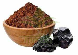 Shilajit Extract Powder