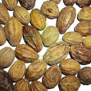 Terminalia Chebula Harde Extract